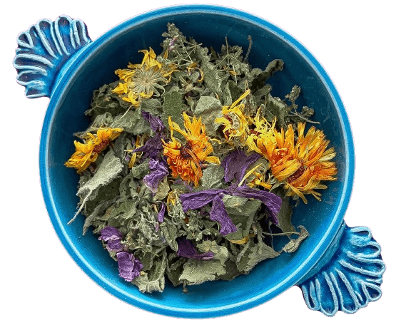 Poussières d'Etoiles