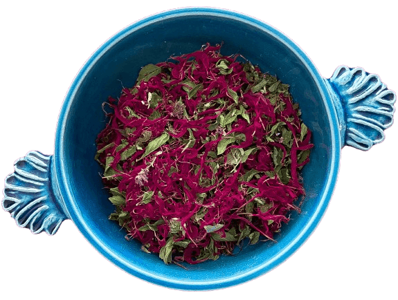 Frisson hivernal - Image 1