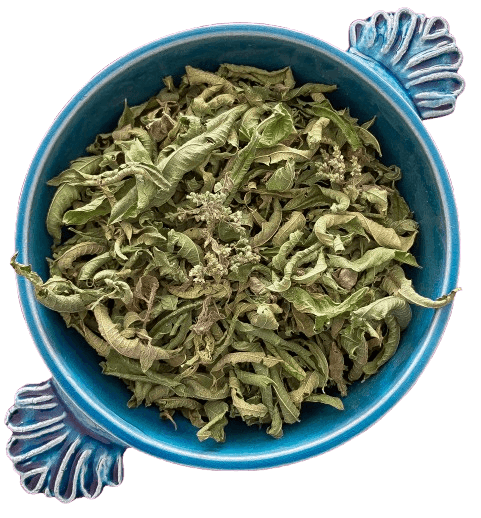 Il Était 1 fois - Image 1